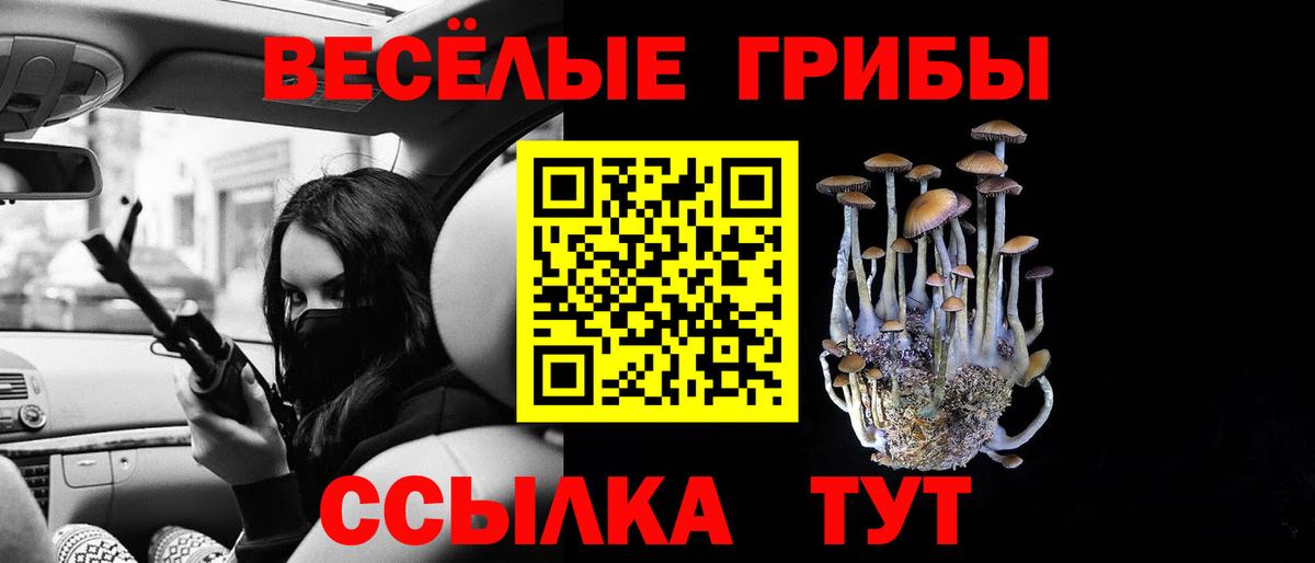 Галлюциногенные грибы прущие грибы Ульяновск
